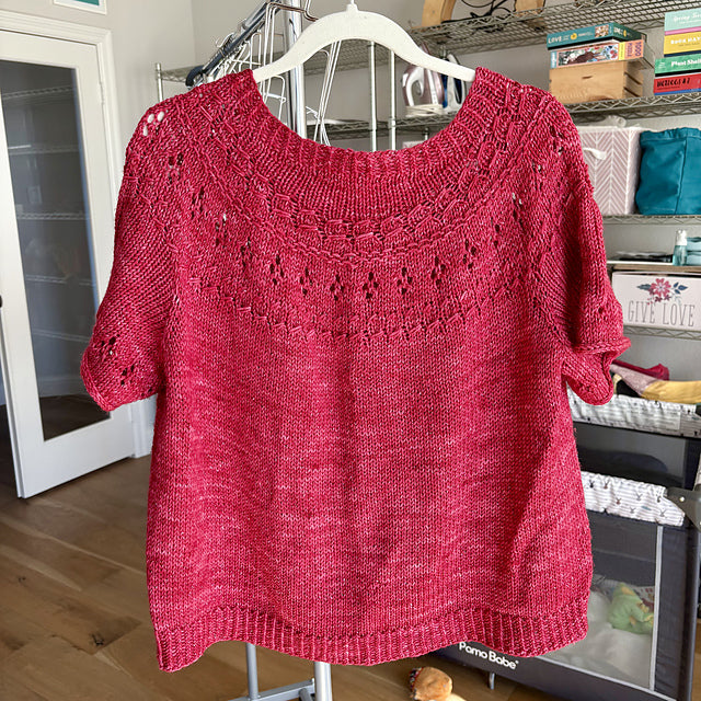 Ranunculus Knit Top Class